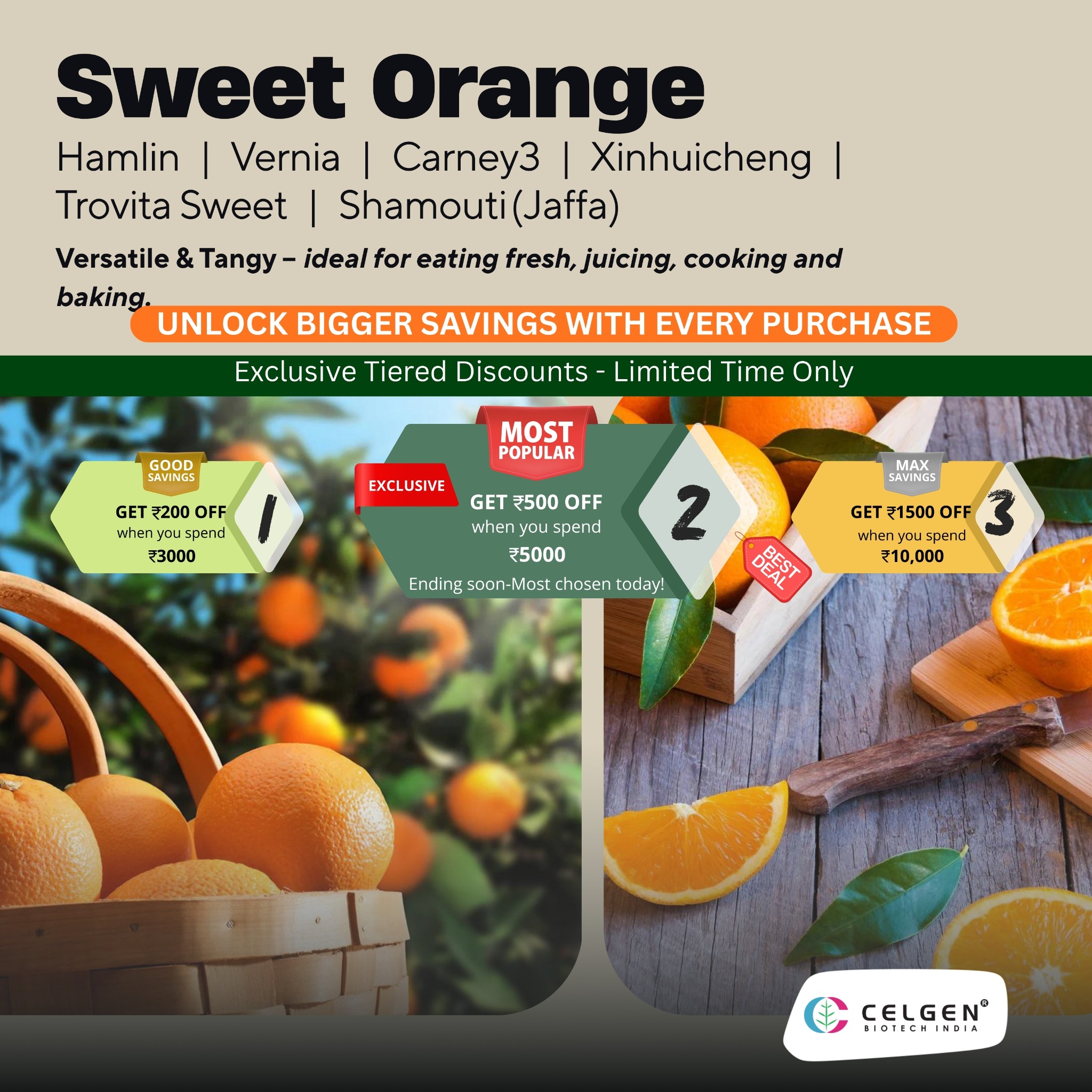 C E L G E N biotech Facebook ad: Premium Sweet Orange Plants - Up to ₹1,500 OFF