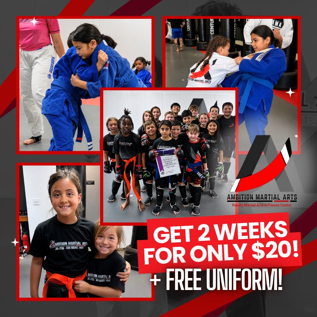 Ambition Martial Arts Facebook ad: Visit Our Website View Our Schedule