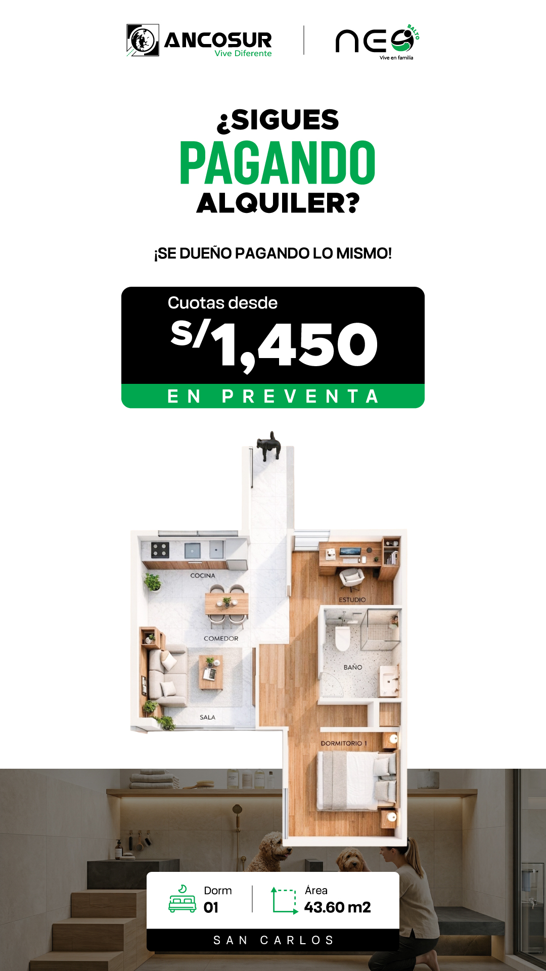 Ancosur Inmobiliaria Facebook ad