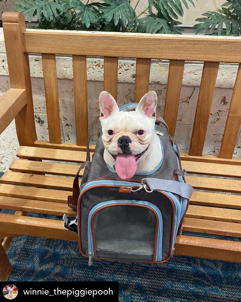 Mr. Peanut's Pet Carriers Facebook ad