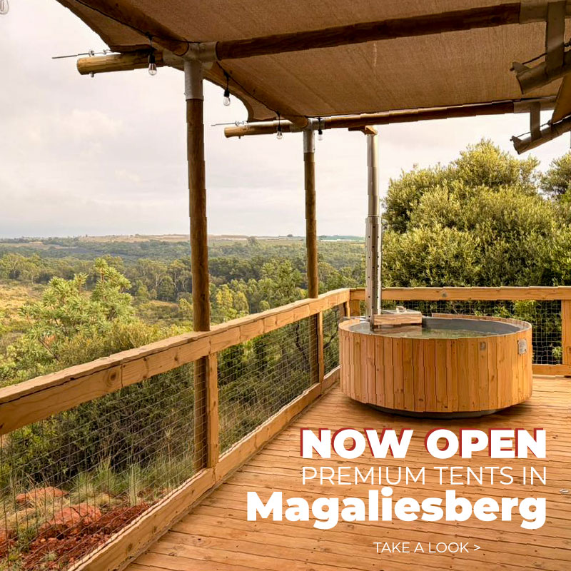 Africamps Facebook ad: Premium tents now open at AfriCamps at Milorho!