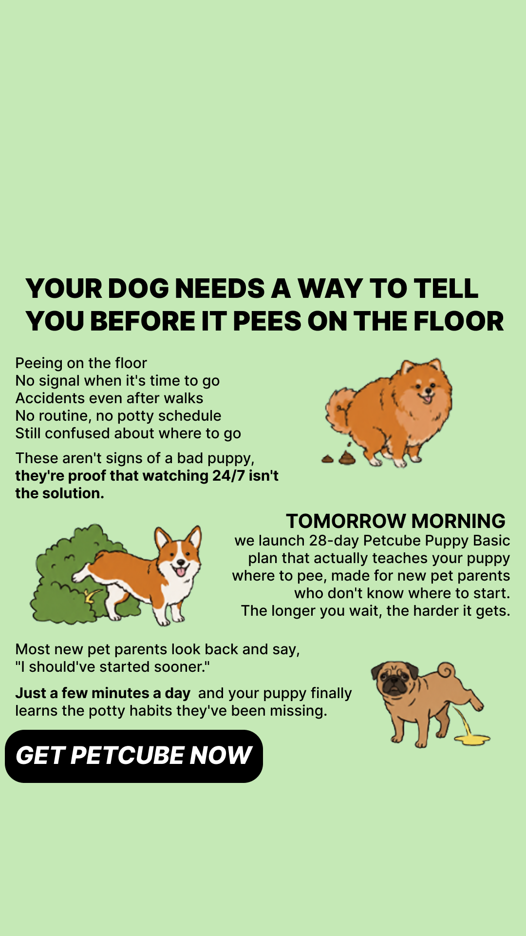 Petcube Facebook ad