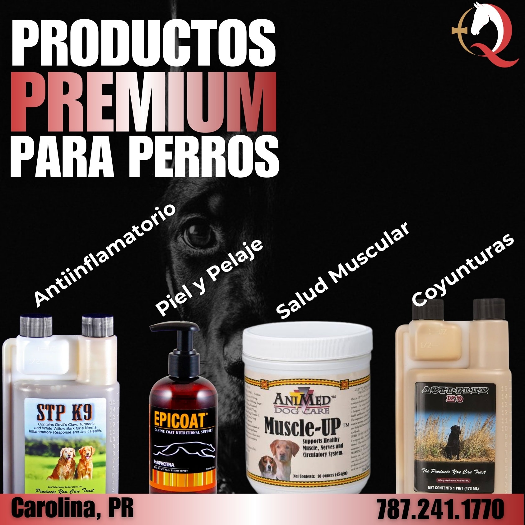 EmergEquine Facebook ad: ¿Tu perro merece lo mejor o solo lo…