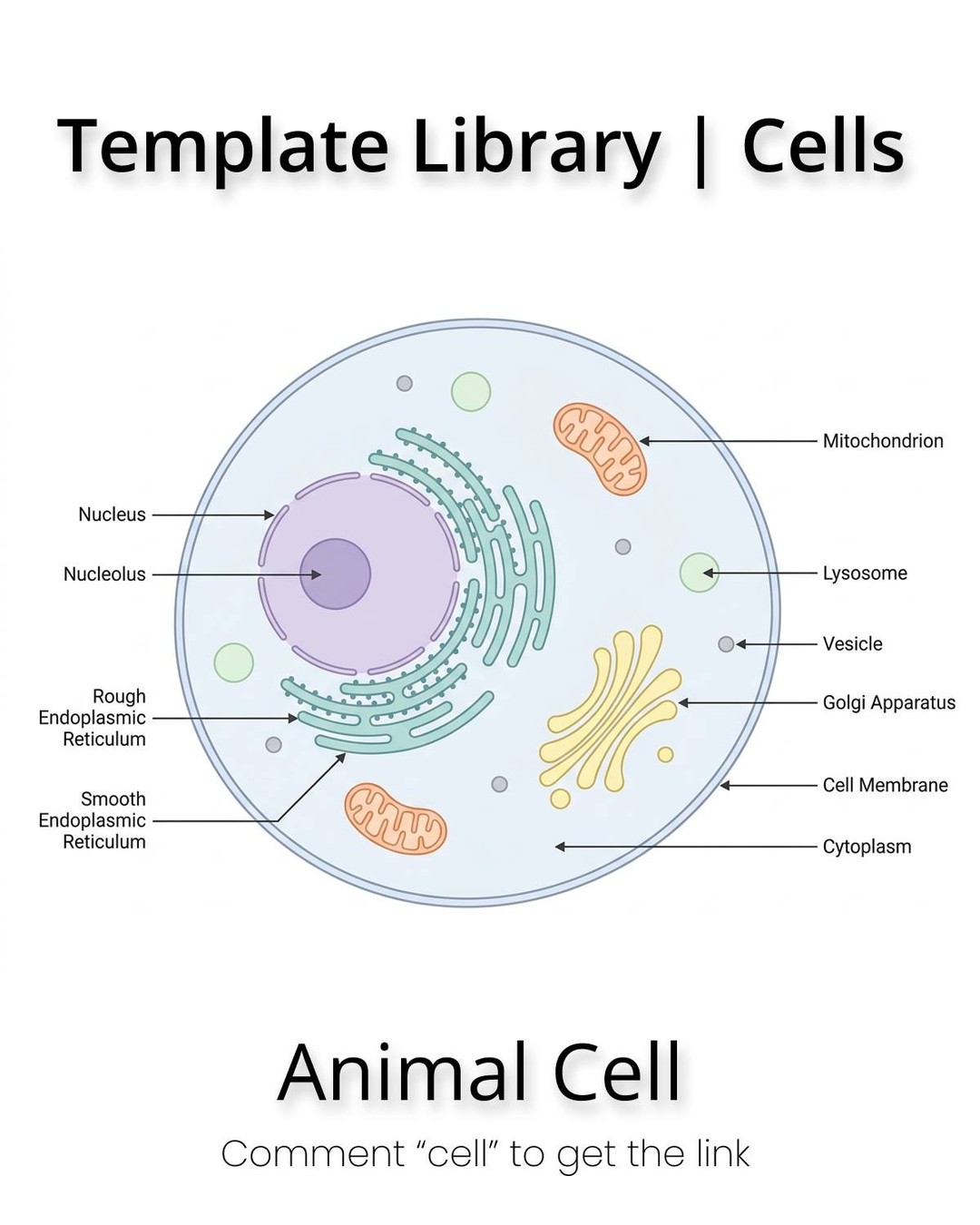 FigureLabs Facebook ad: One template. Endless cell types.