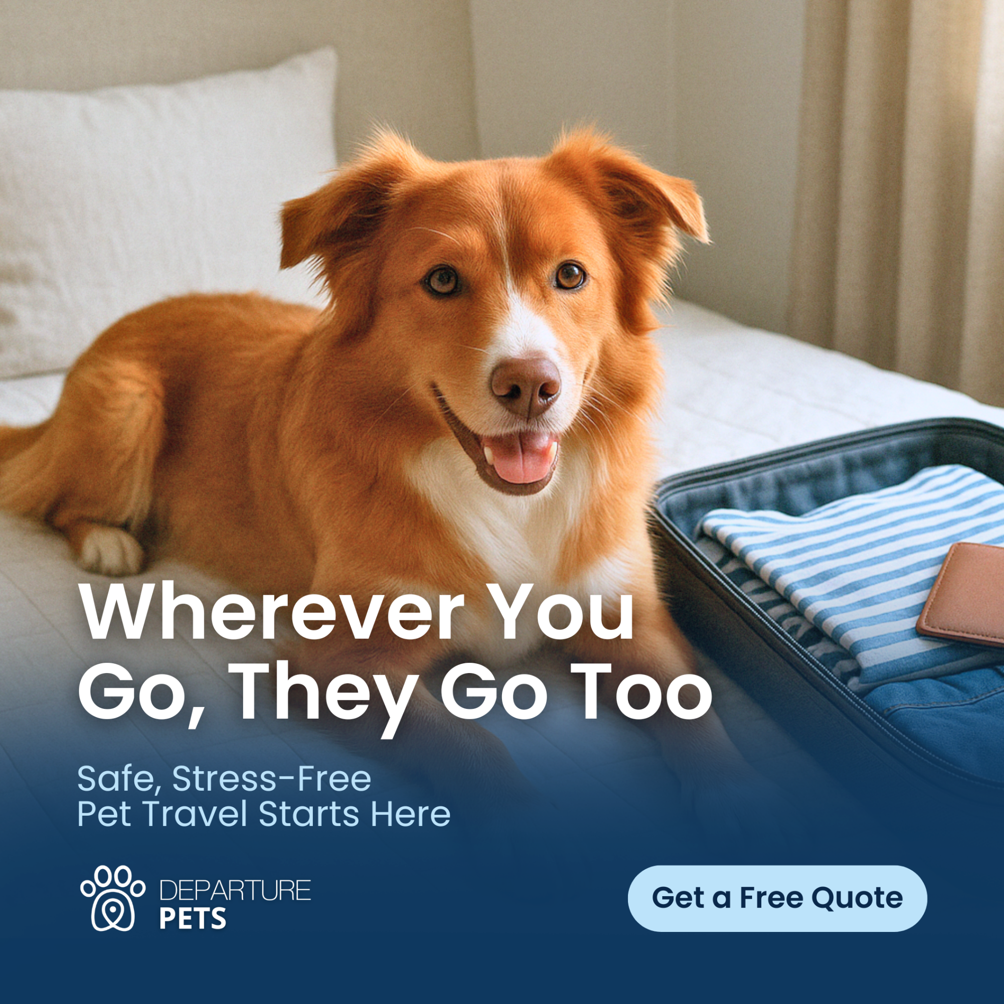 Departure Pets Facebook ad: Moving With Your Pet?
