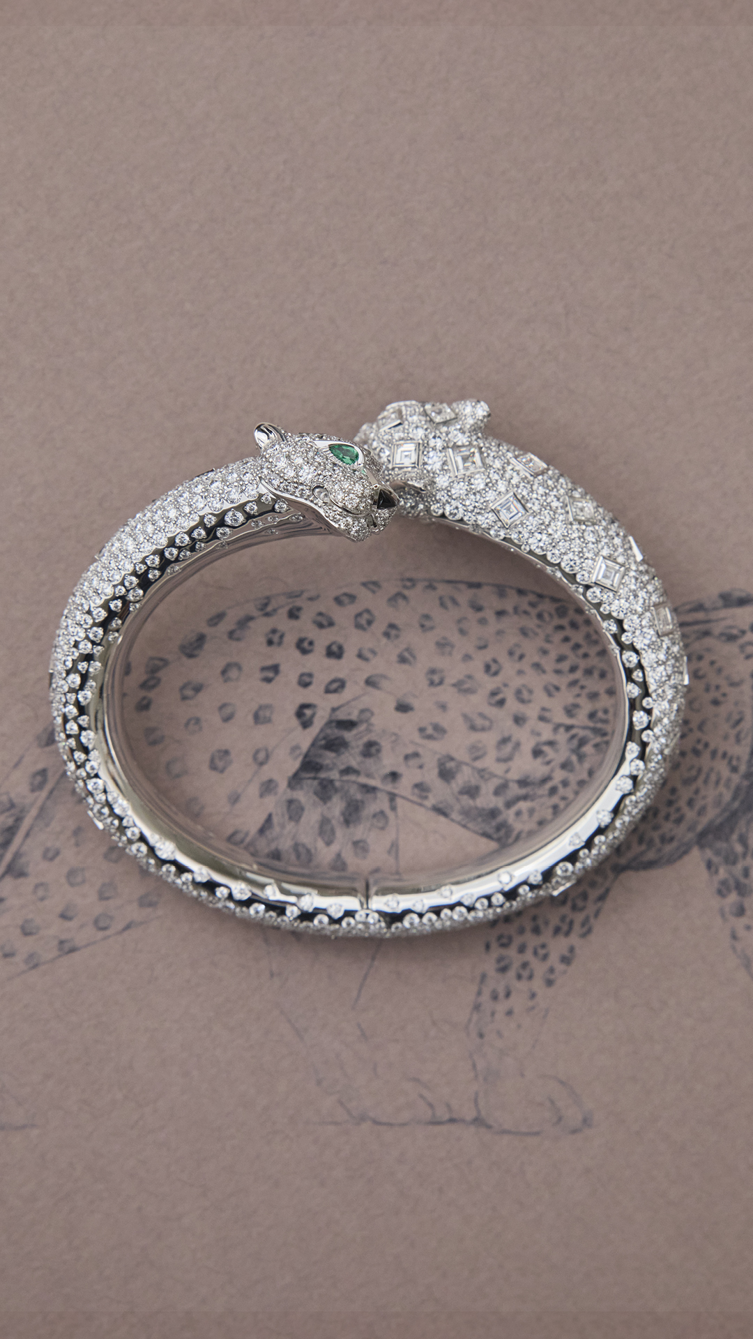 Cartier Facebook ad: La Pantera è la protagonista indiscussa della narrativa…