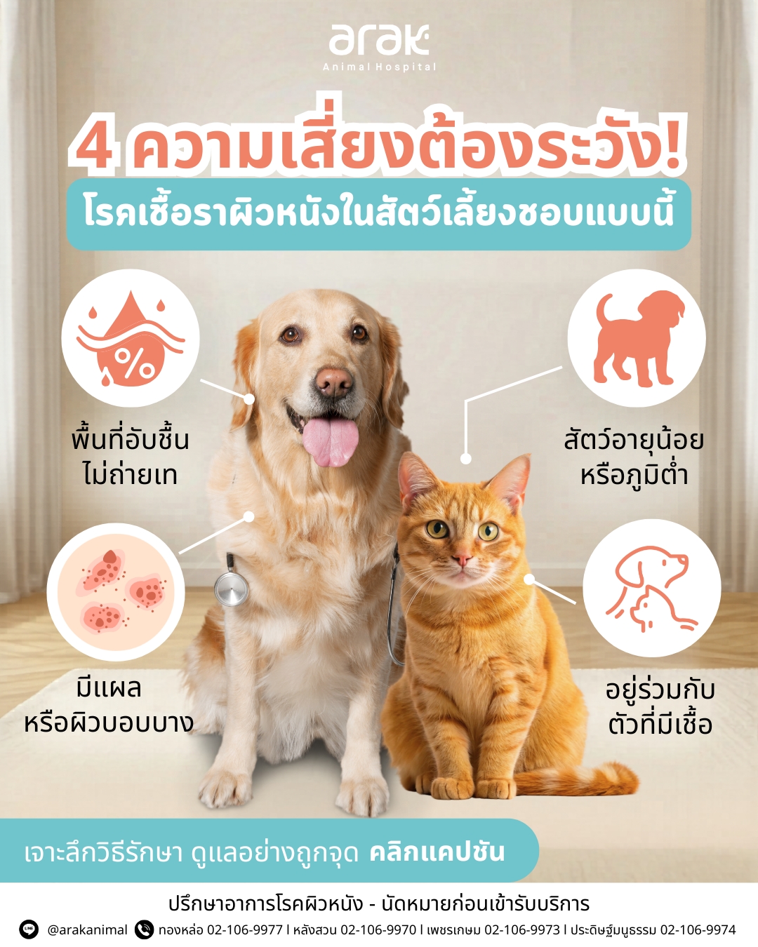 Arak Animal Hospital โรงพยาบาลสัตว์อารักษ์ Facebook ad