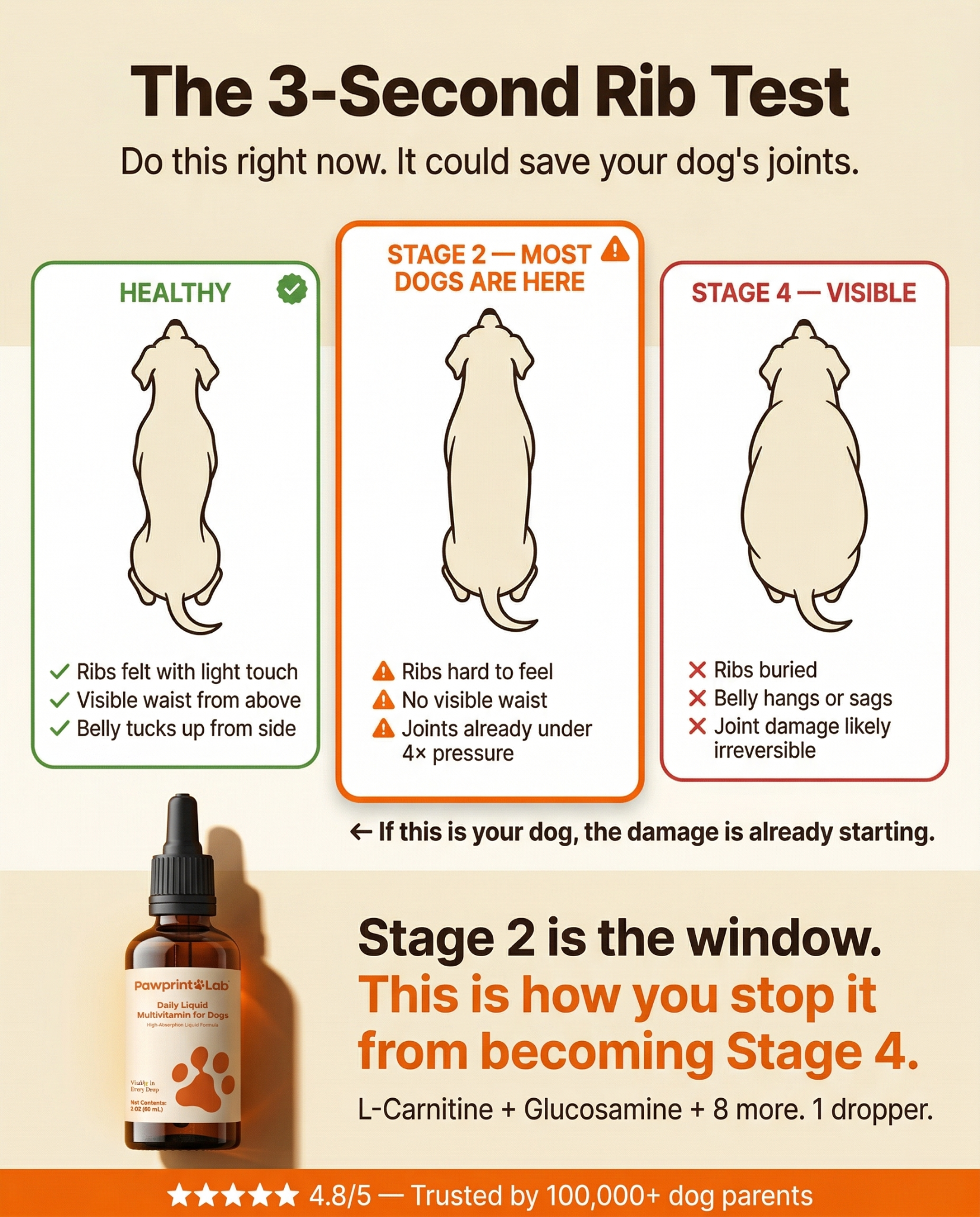 Vet-Approved Pet Products Facebook ad