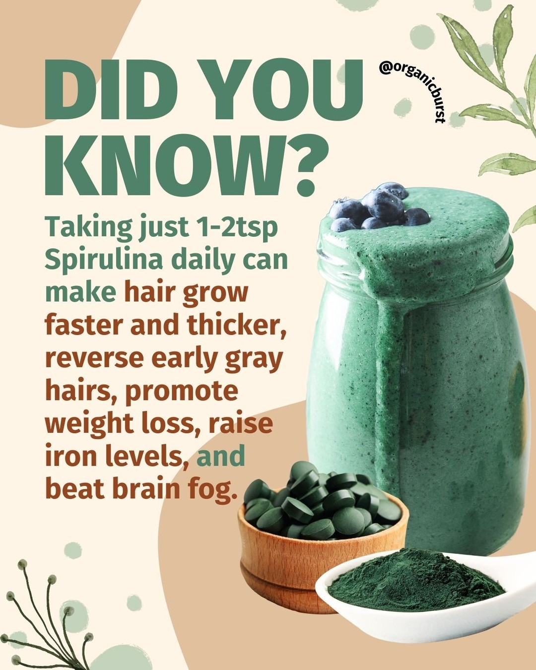 Organic Burst Facebook ad