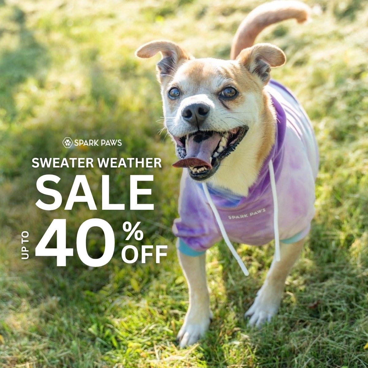 Spark Paws Facebook ad