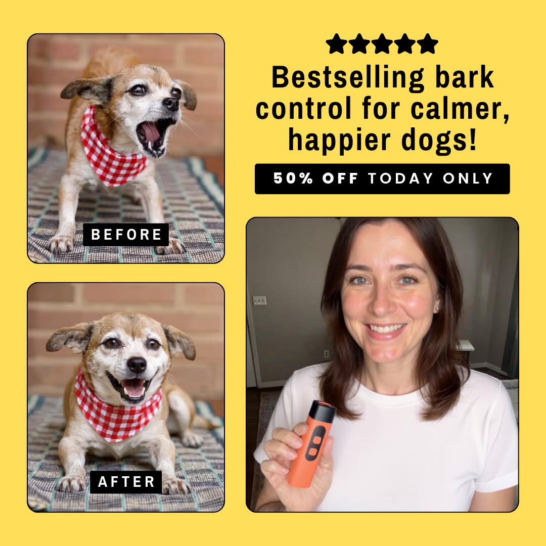 Hunters Doggy Daycare Facebook ad