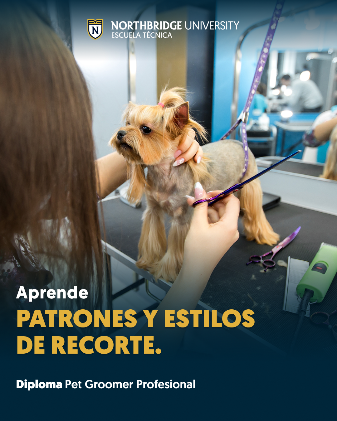 Northbridge University - Escuela Técnica Facebook ad