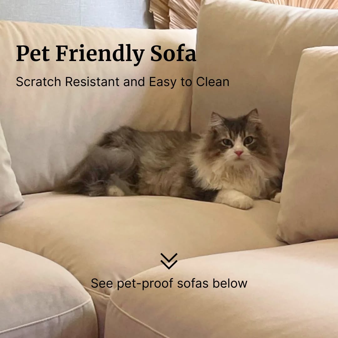 Cozylant Facebook ad: Make Your Sofa Pet Friendly