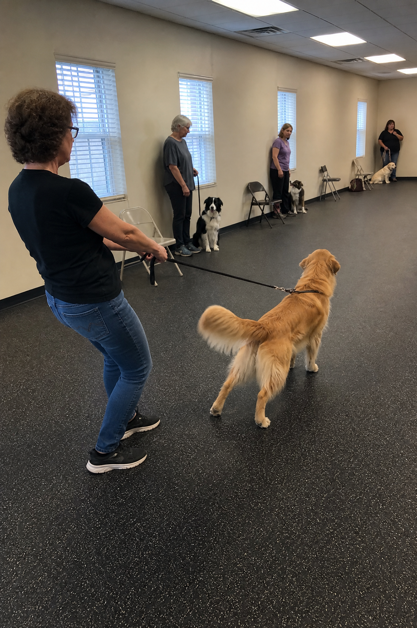 Susan Bennett Facebook ad: If your Golden Retriever is a lot read this