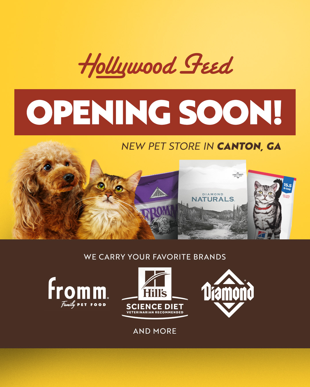 Hollywood Feed Facebook ad