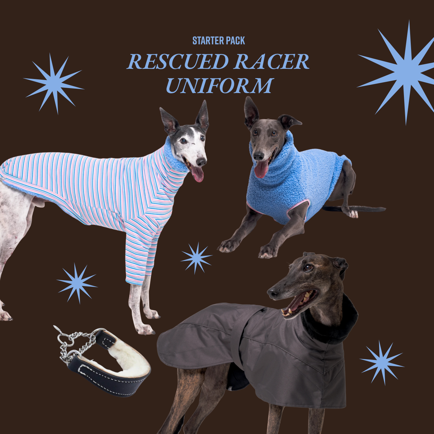Snootly Facebook ad: Built for sighthounds. Actually.