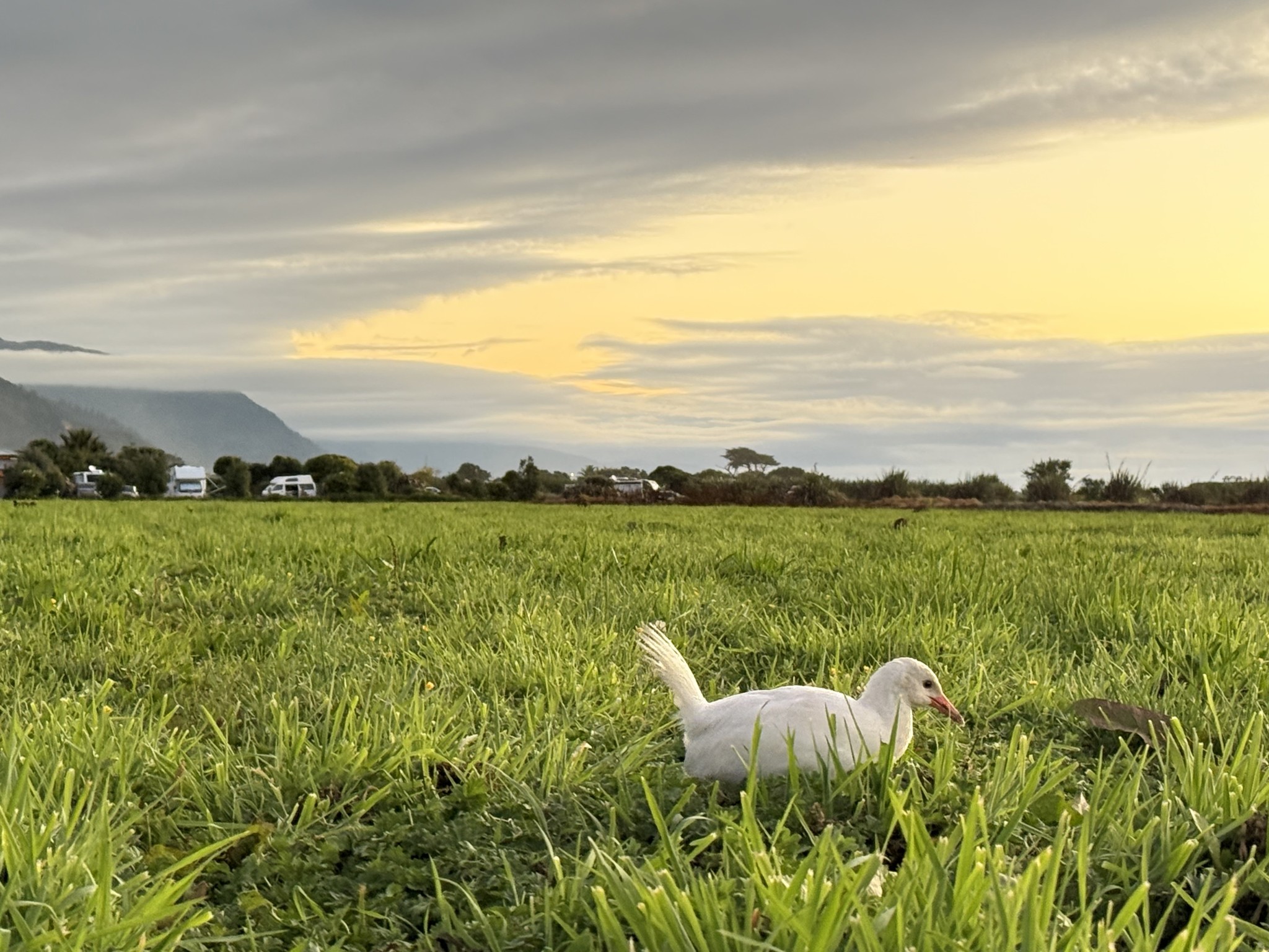 Gentle Annie Seaside Accommodation and Camping Ground Facebook ad: Gentle Annie Accommodation Camping Ground, Mokihinui…