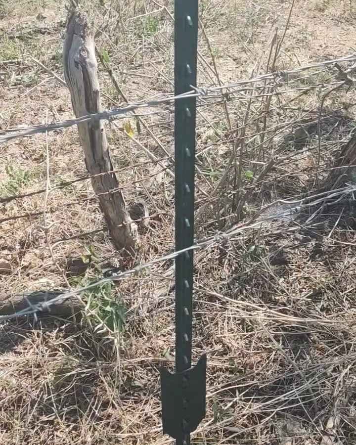 Mario Miranda Facebook ad: VENTA DE POSTE GANADERO TIPO T DE 1.83 METROS DE ALTO…