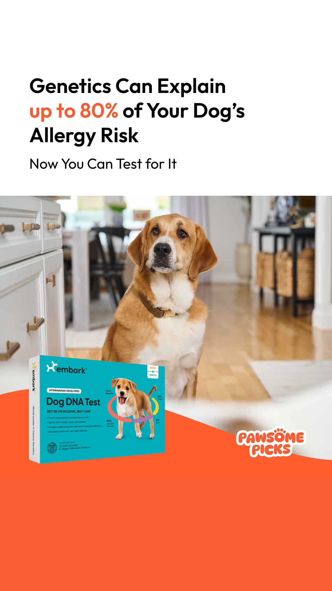 Pawsome Picks Facebook ad