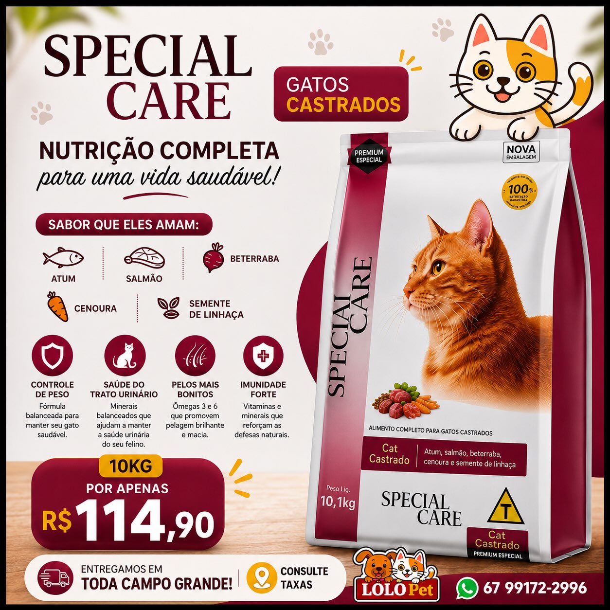 Lolo Pet Shop Facebook ad: Seu gato castrado merece uma alimentação de qualidade!