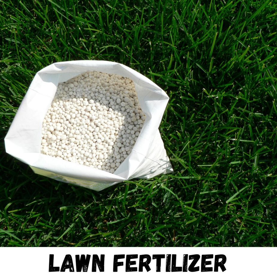 SearchLogik Trail Facebook ad: Delve Into Smart Lawn Care For Greener Grass.