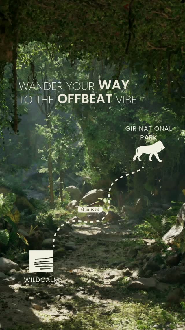 Wild Calm Sasan Gir Facebook ad: Stay in calm, step into the wild.