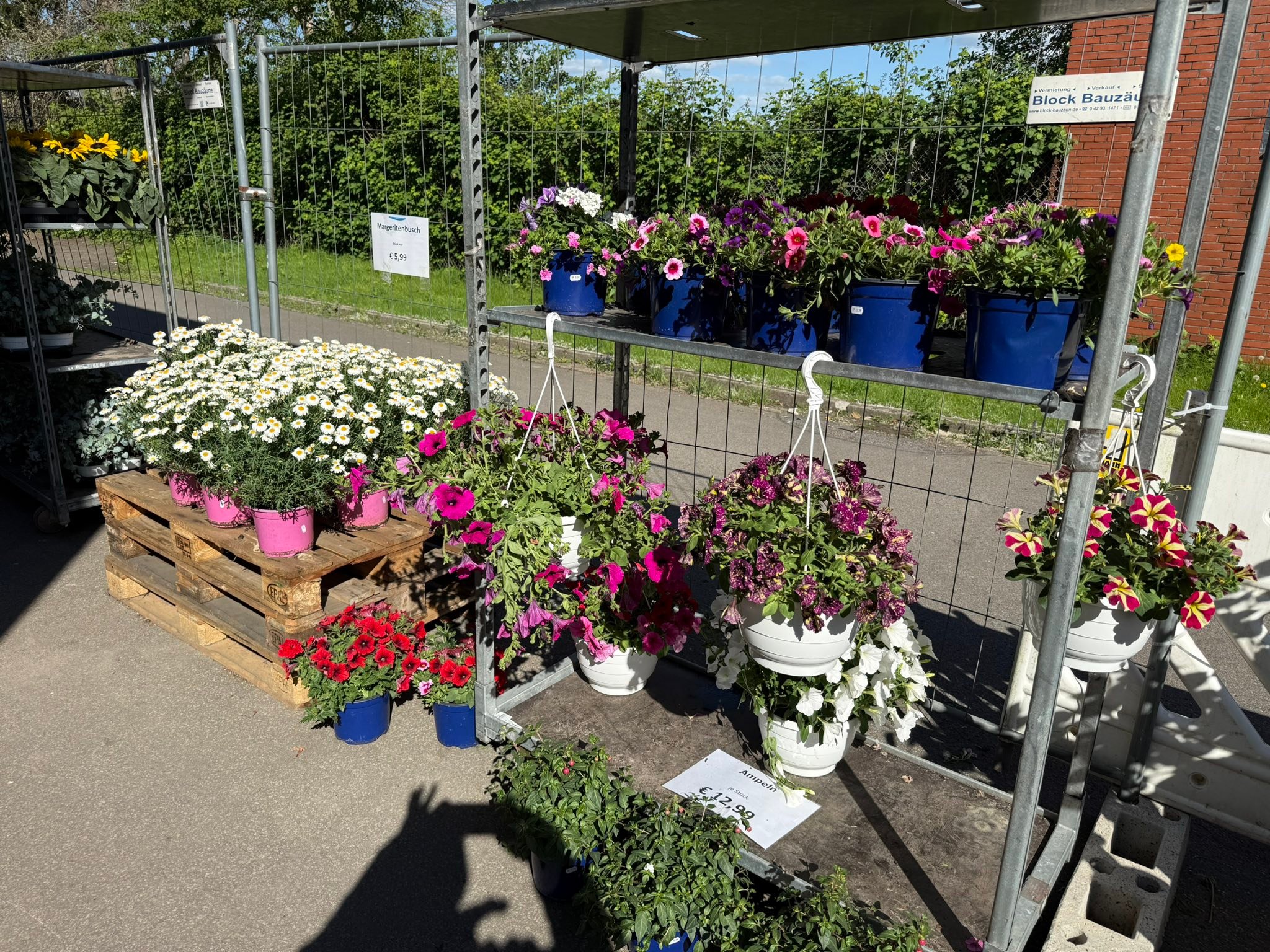 Lagerverkauf Postenhandel-Nord Facebook ad: Endlich Blumen- und Pflanzenzeit, für das ganze Wochenende…