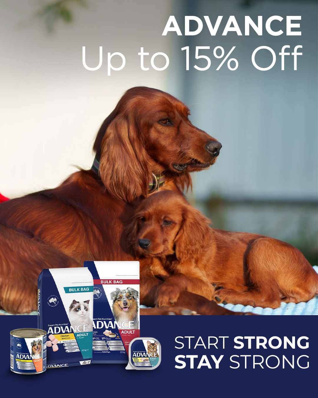 Budget Pet Products Facebook ad