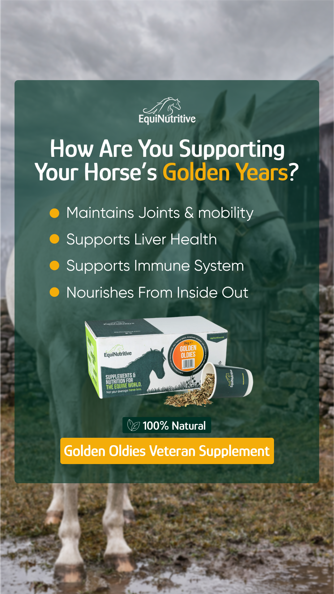 EquiNutritive Facebook ad
