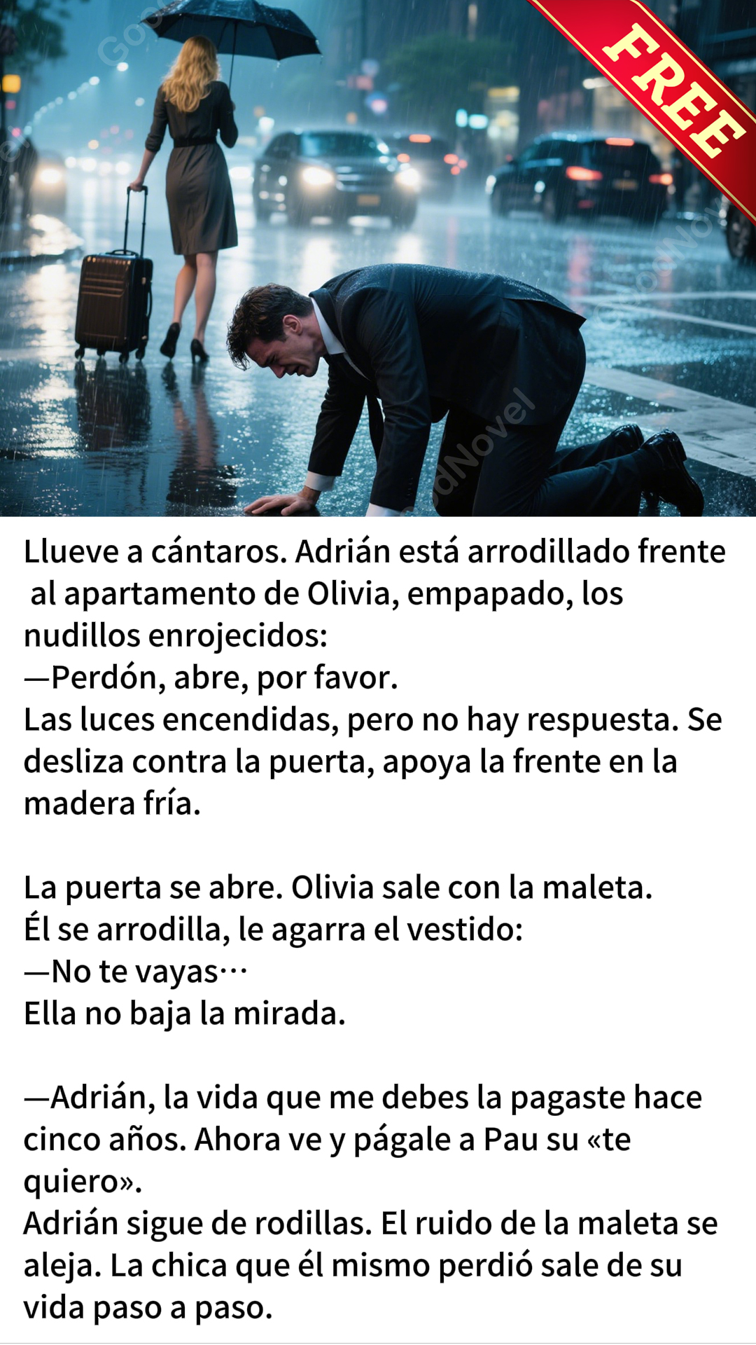 Novela atractiva Facebook ad