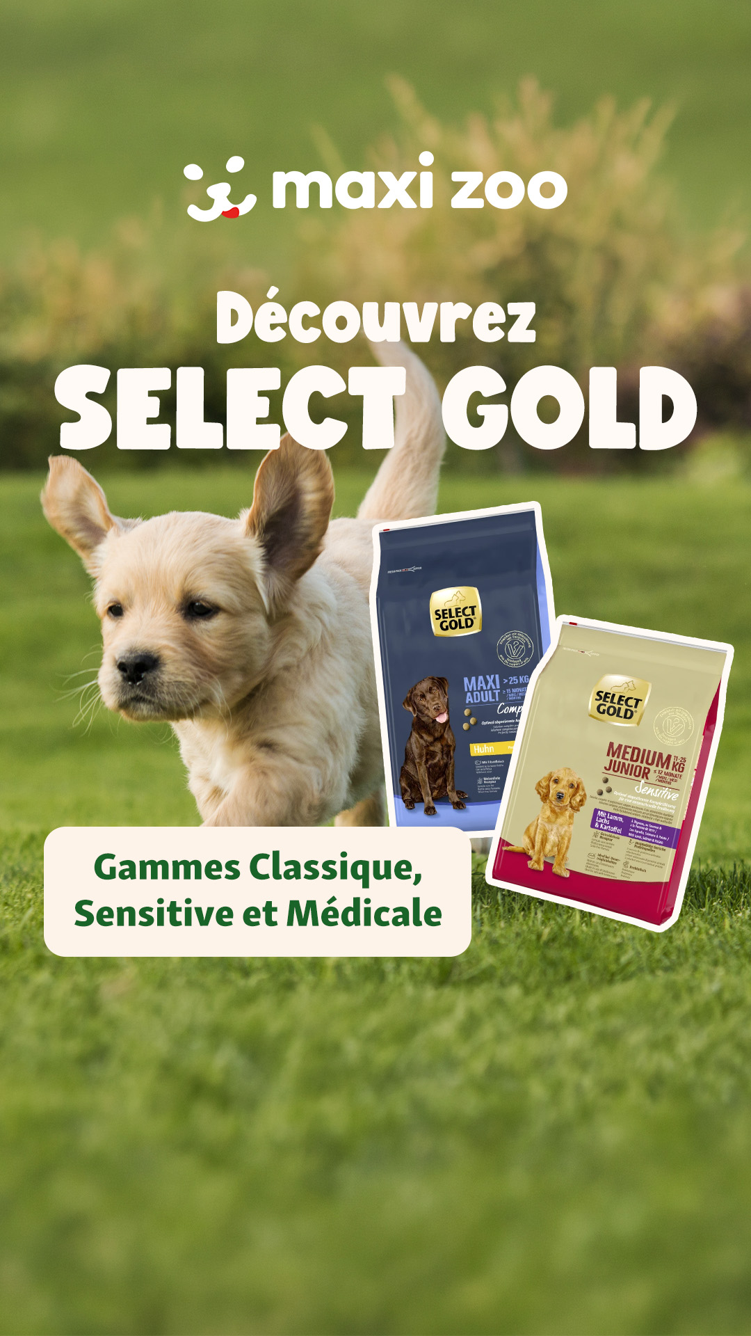 Maxi Zoo France Facebook ad