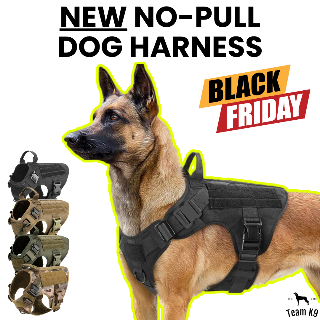Team K9 Facebook ad