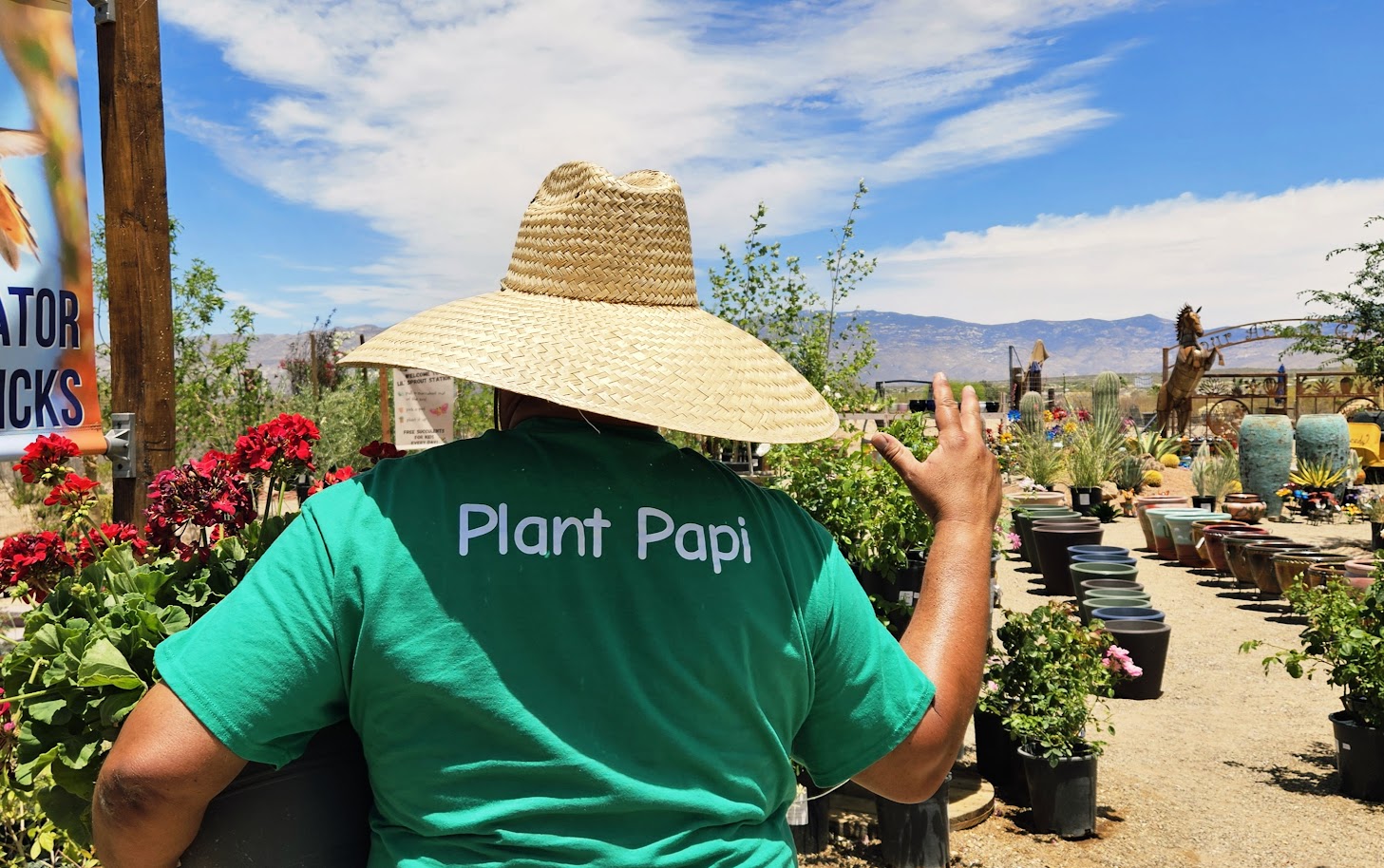 Four Arrows Garden Facebook ad: Voted Best Garden Center in the Arizona Daily…