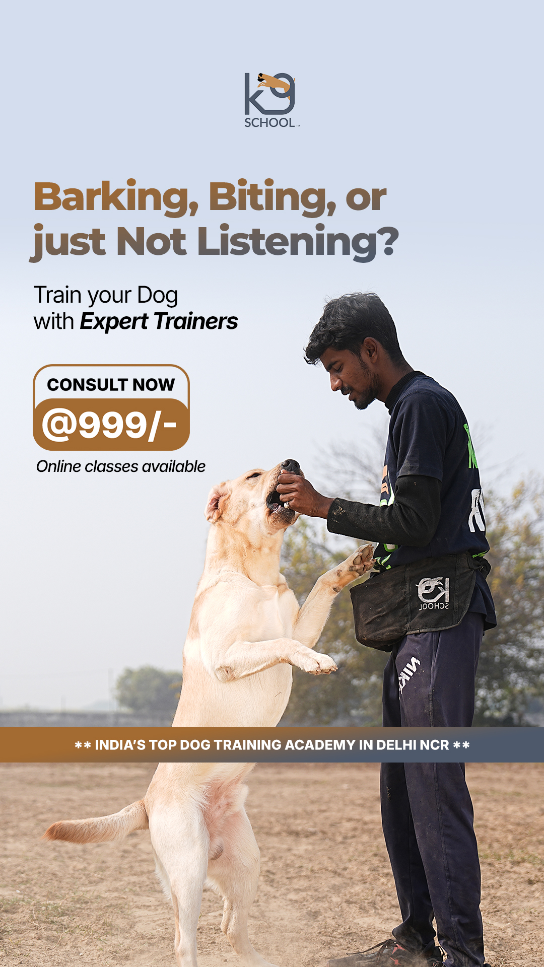 K9 School India Facebook ad from Nov 10, 2025