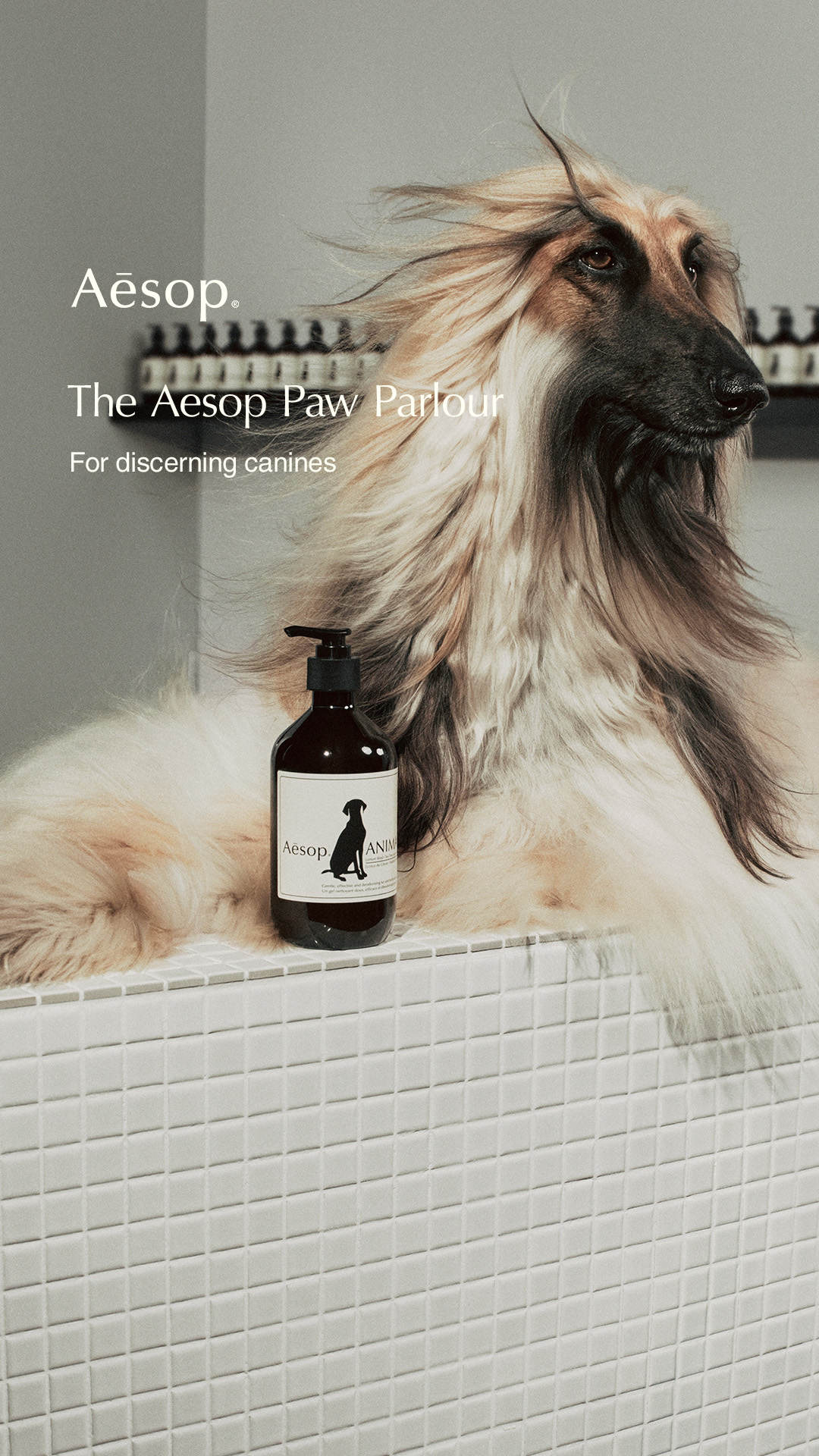 Aesop Facebook ad