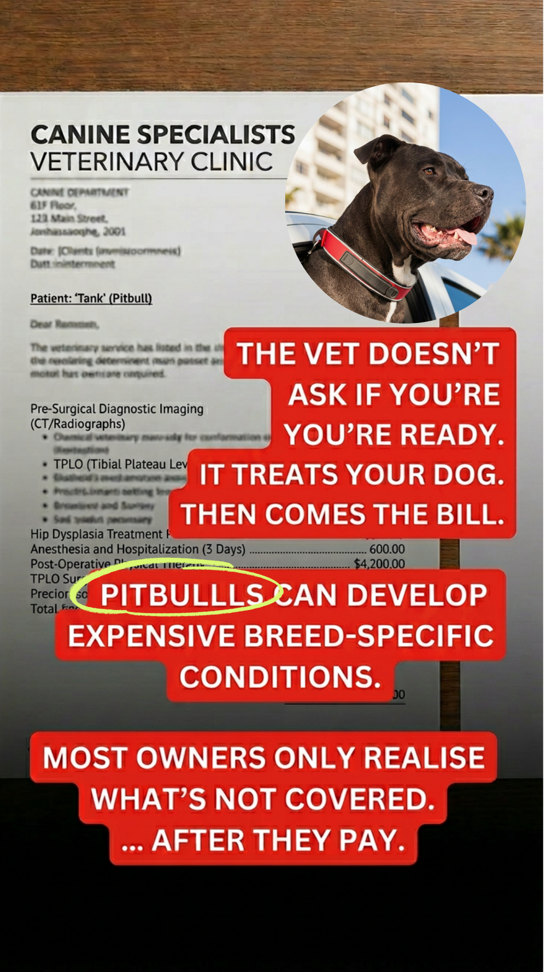 Pet-insurances.co.za Facebook ad