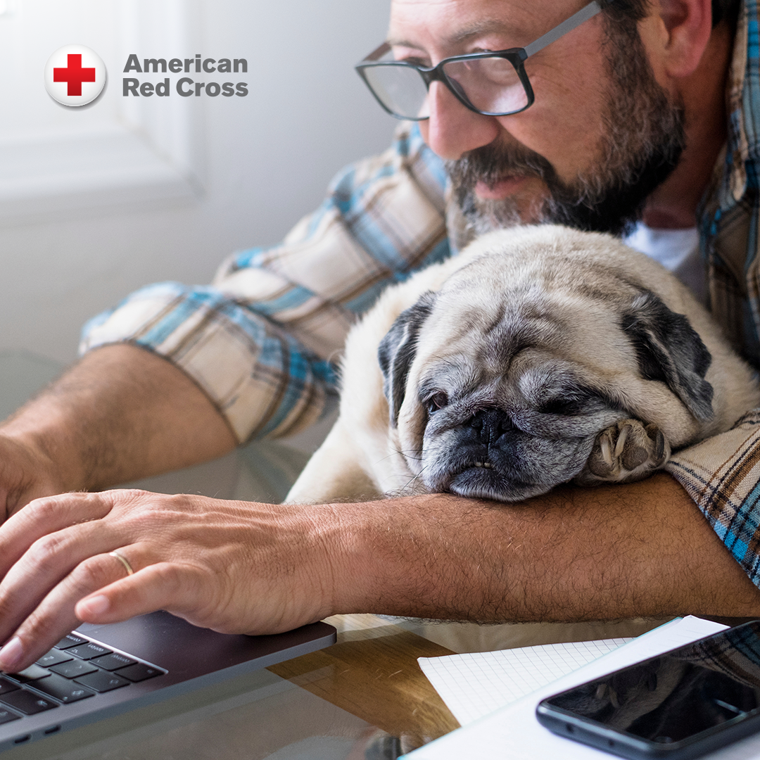American Red Cross Training Services Facebook ad