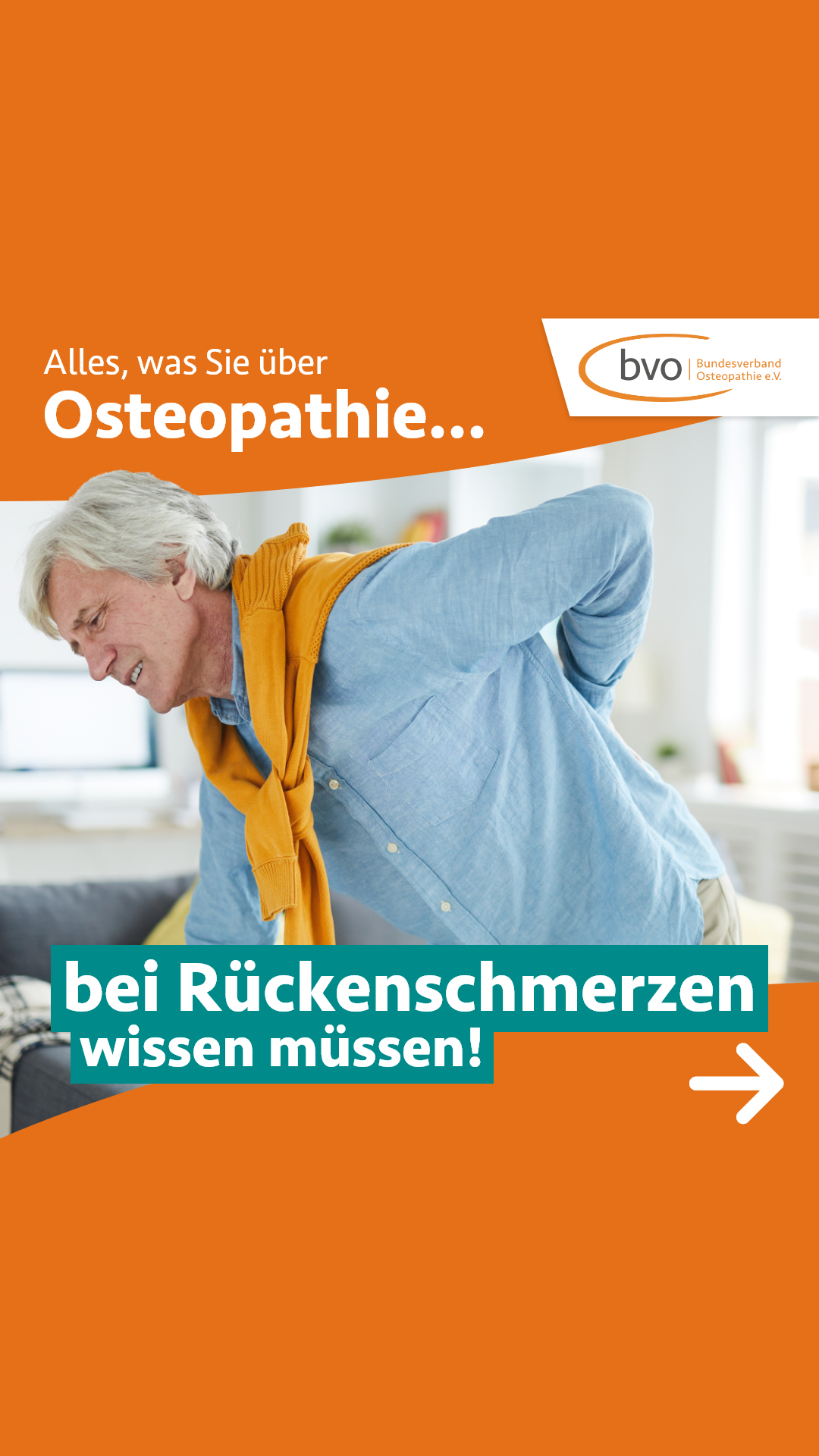 Bundesverband Osteopathie e.V. - bvo Facebook ad: Rückenschmerzen verstehen, und ganzheitlich behandeln.