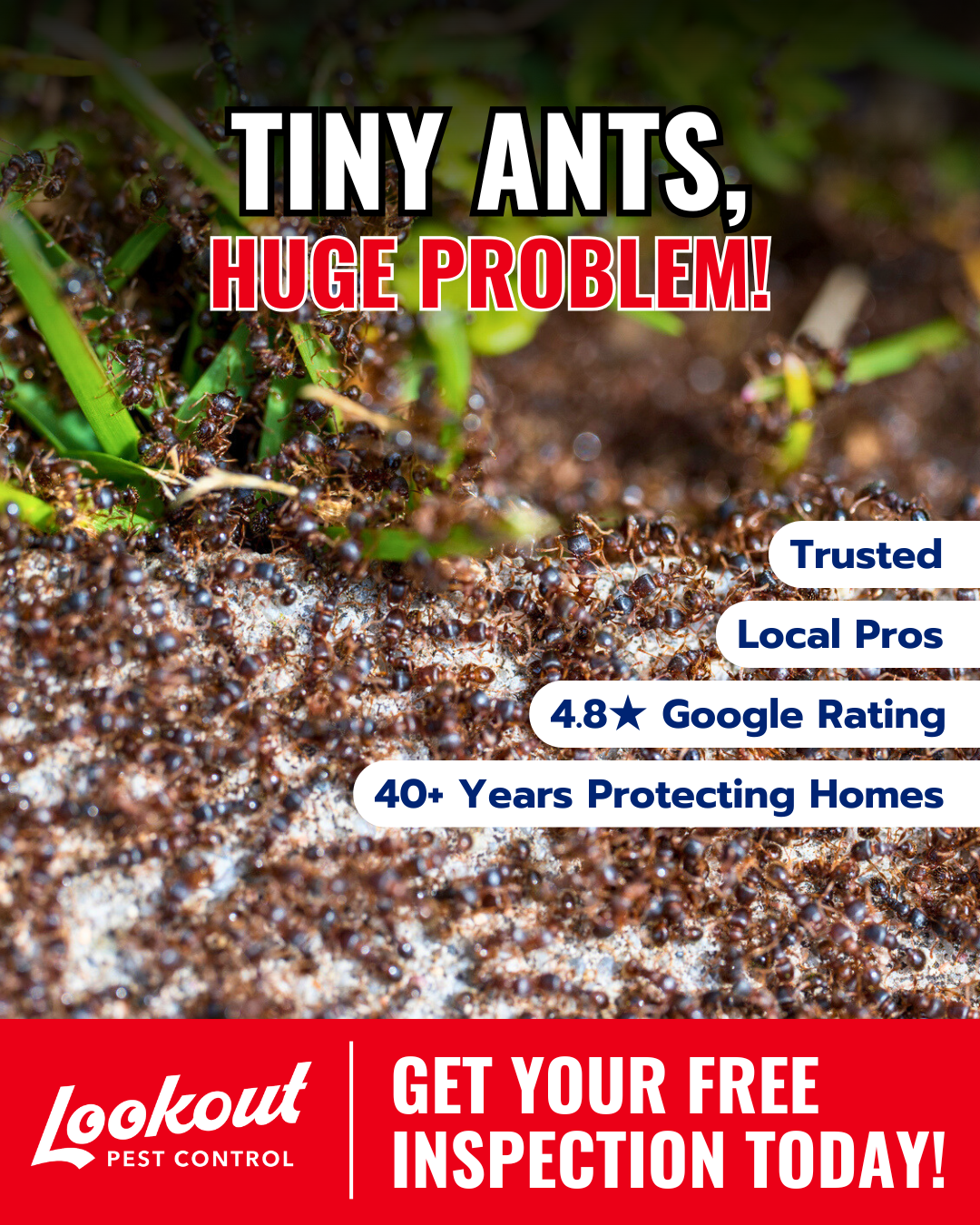 Lookout Pest Nashville Facebook ad