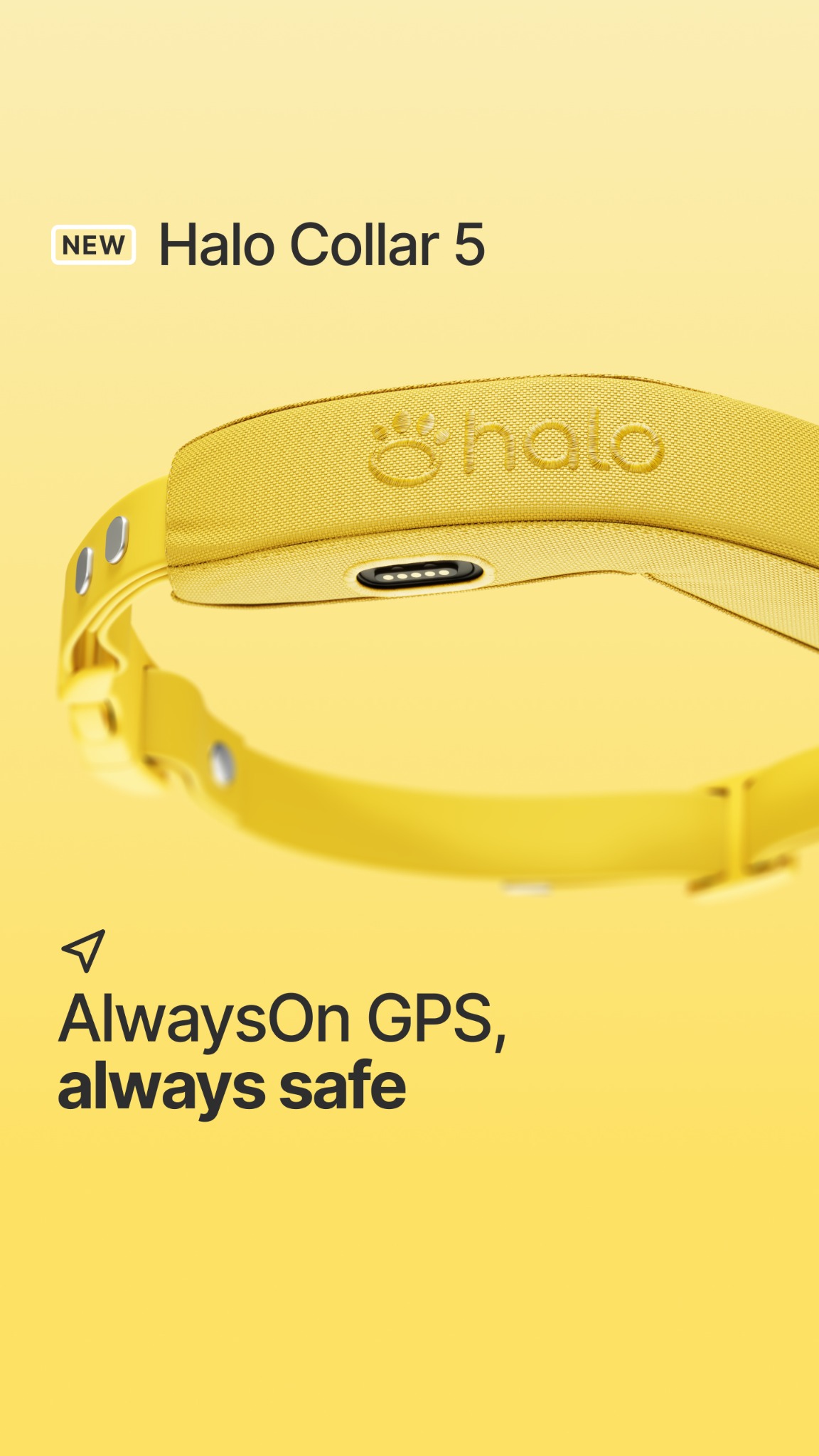Halo Collar Facebook ad