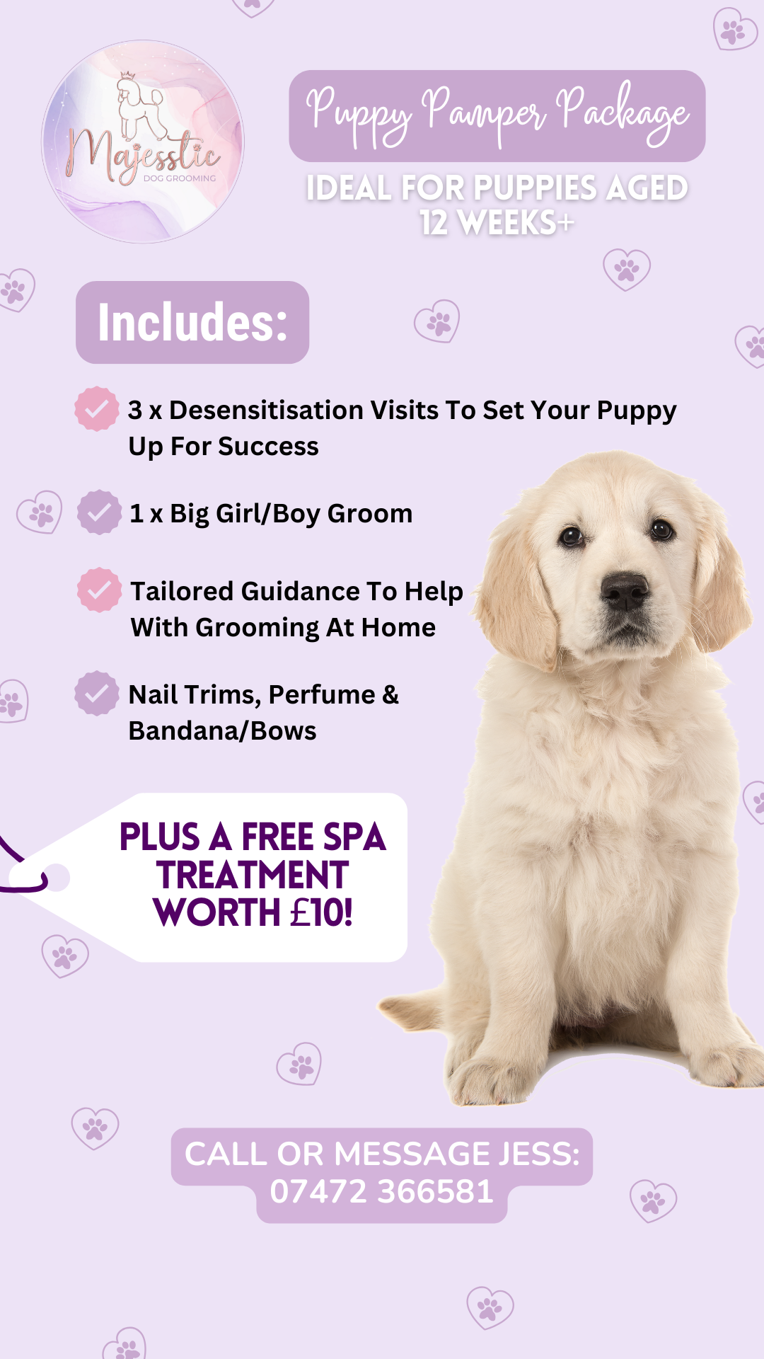 Majesstic Dog Grooming Facebook ad from Feb 2, 2026