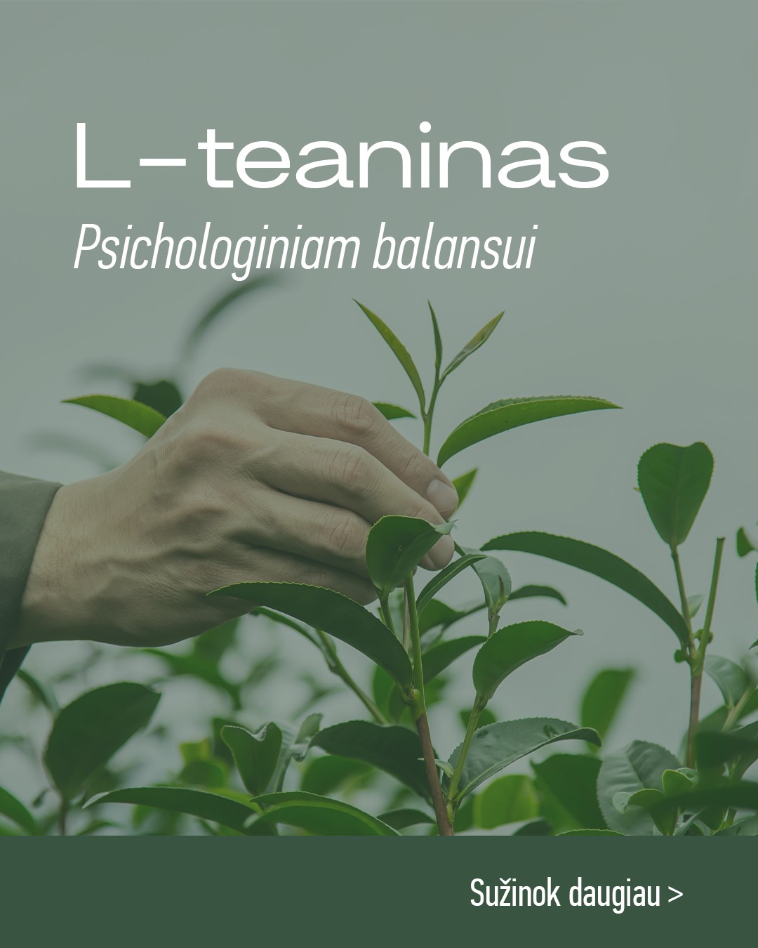 Raw Powders Lietuva Facebook ad: Metas atsipalaiduoti!