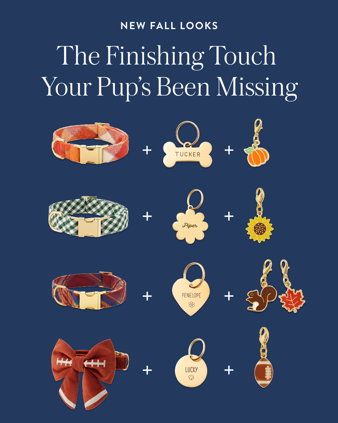 The Foggy Dog Facebook ad
