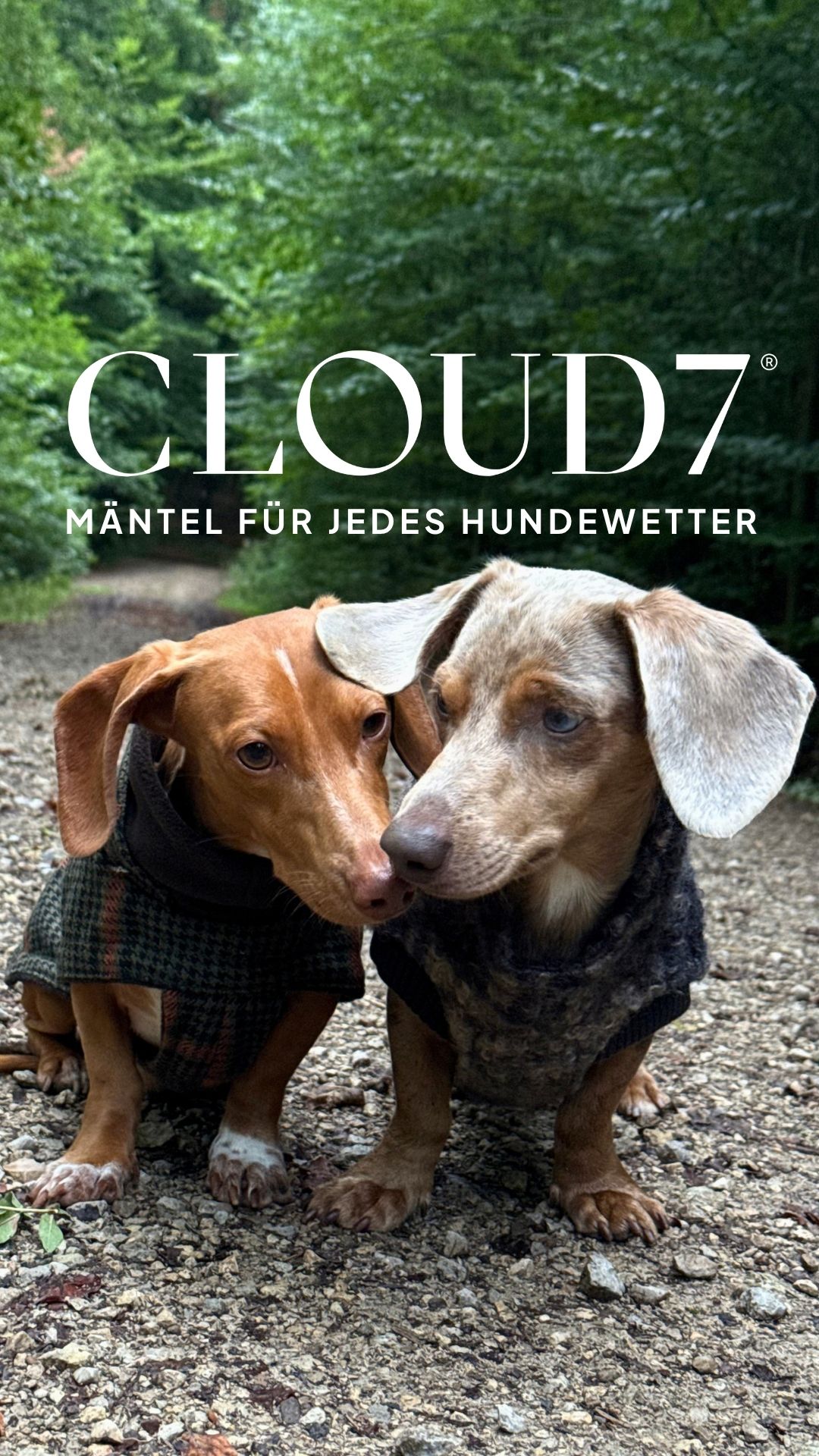 Cloud7 Facebook ad: Hier entdecken