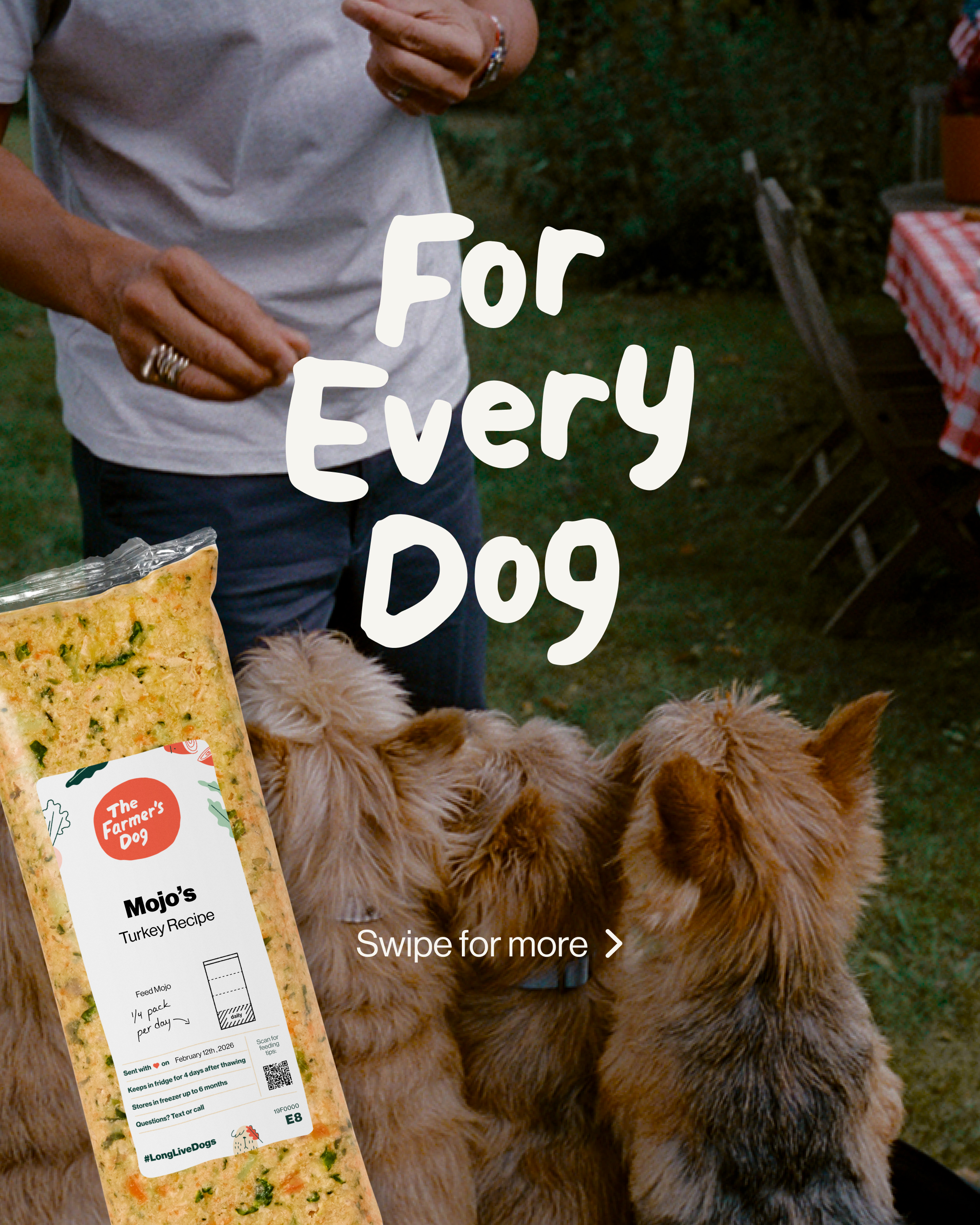 The Farmer's Dog Facebook ad