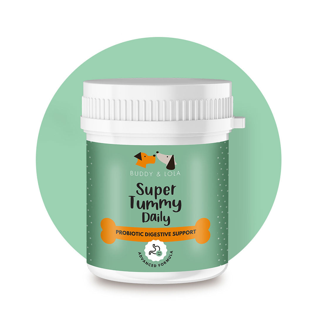 Buddy & Lola Facebook ad: Shop natural dog supplements for dogs of all…