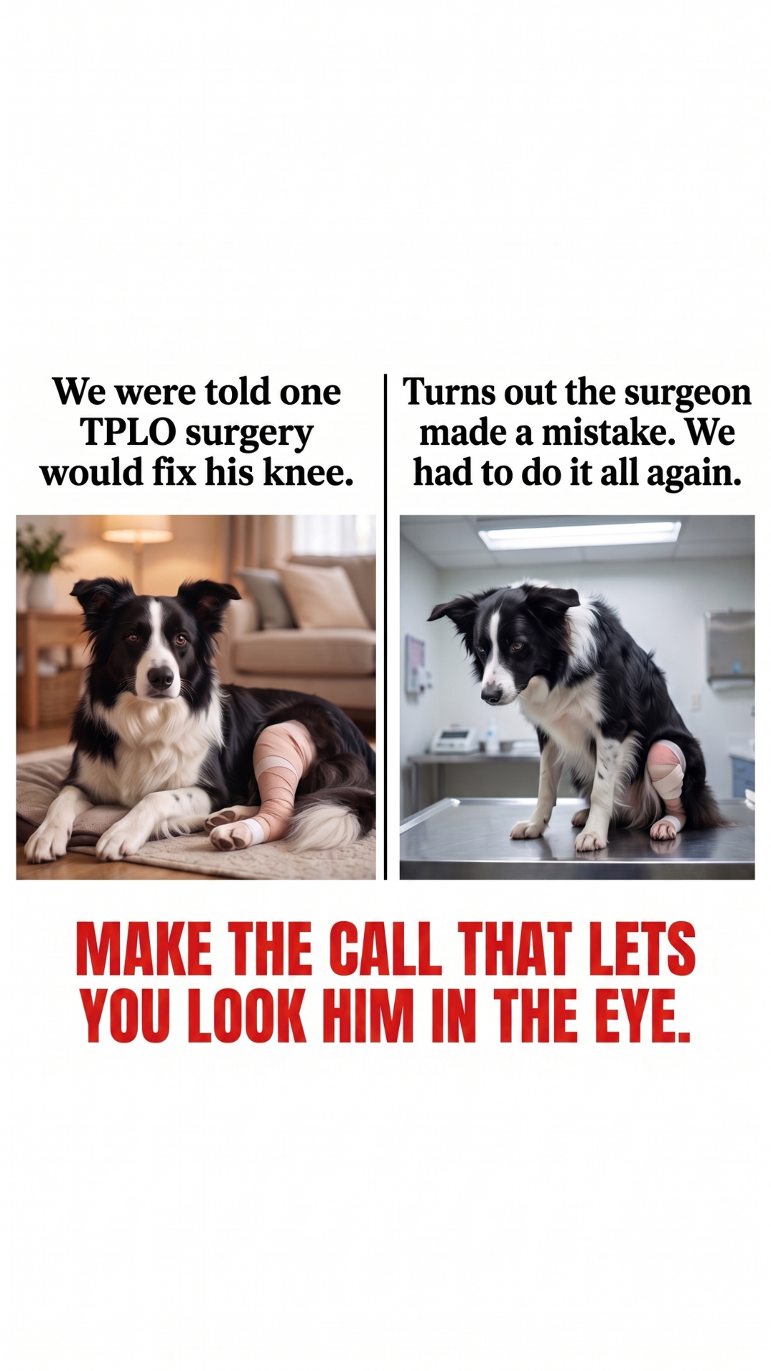 Paw Pro Vet Pets Facebook ad: His Surgery Was Supposed to Be the Fix. It Wasn't