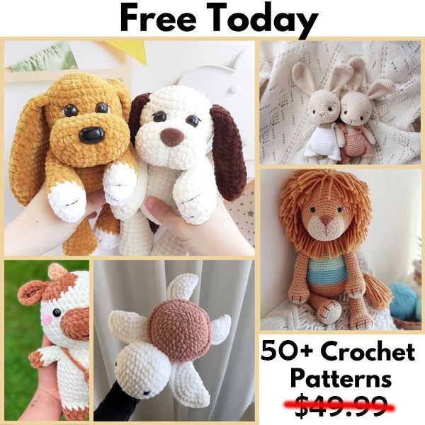 Kairo-shop-maroc Facebook ad: Free Today