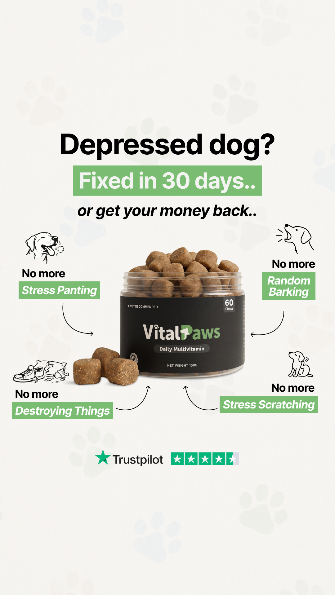 VitalPaws Facebook ad