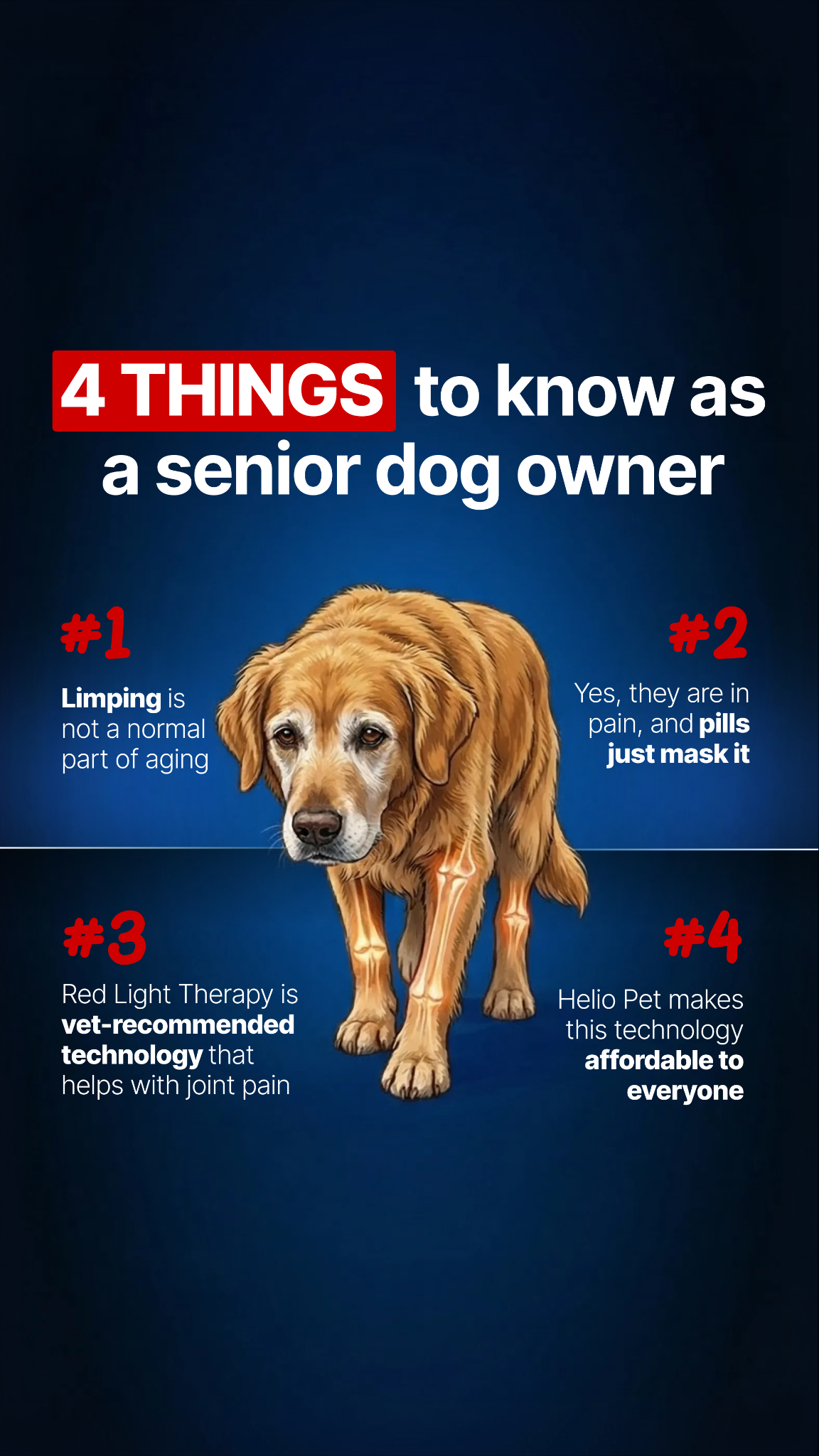 Helio Pet Facebook ad